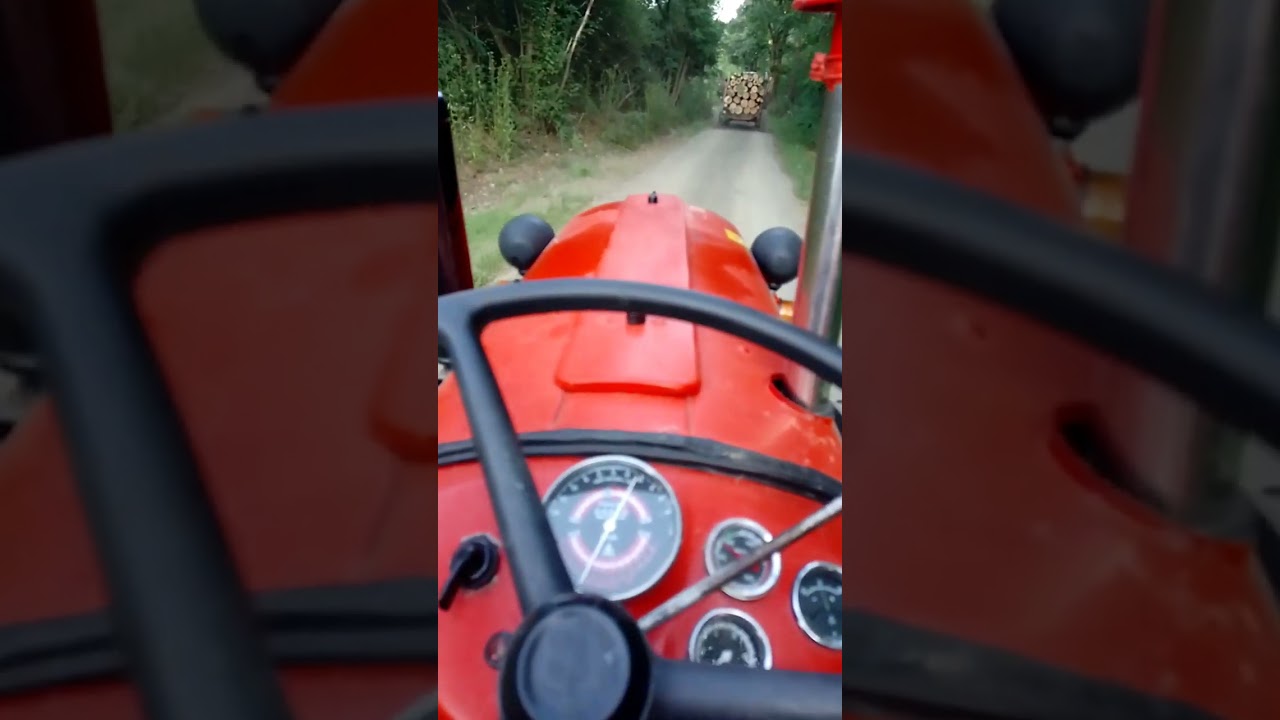 IMT 533 de luxe i Lamborghini r360 suma i transport drva za jagodinu