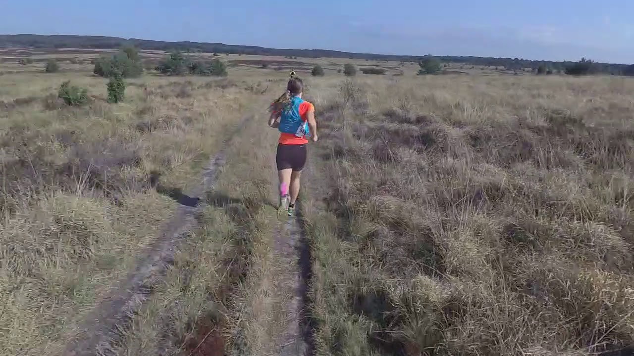 Wisenttrail 2018
