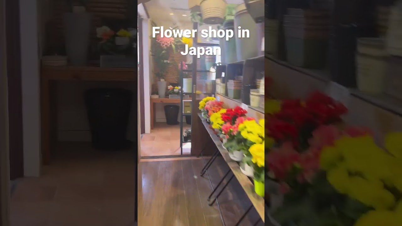 Buying flowers for japanese grandma #japan