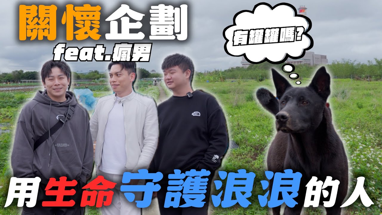 如果不救牠們就會死，救了牠們困苦到不想活了…【武當WU-TANG 中美式整復】