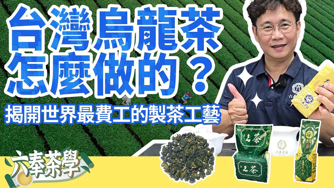 【六奉茶學】台灣烏龍茶製作過程，詳細解說！