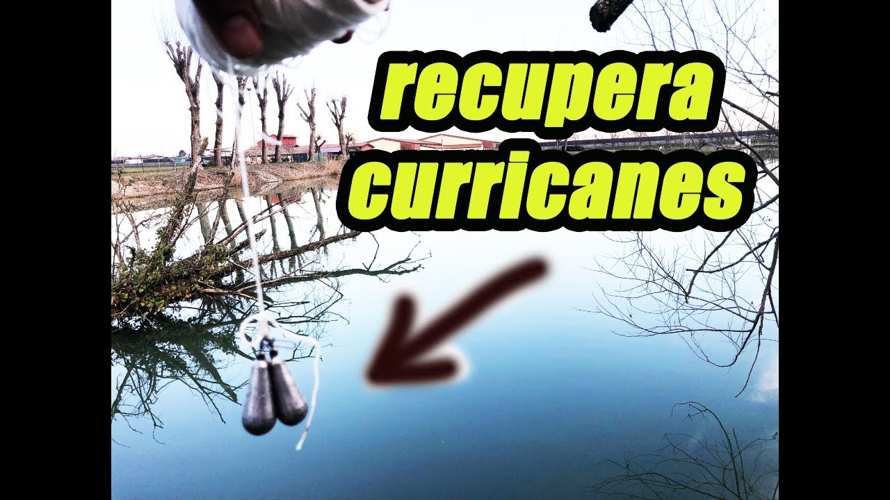 Recupera Curricanes