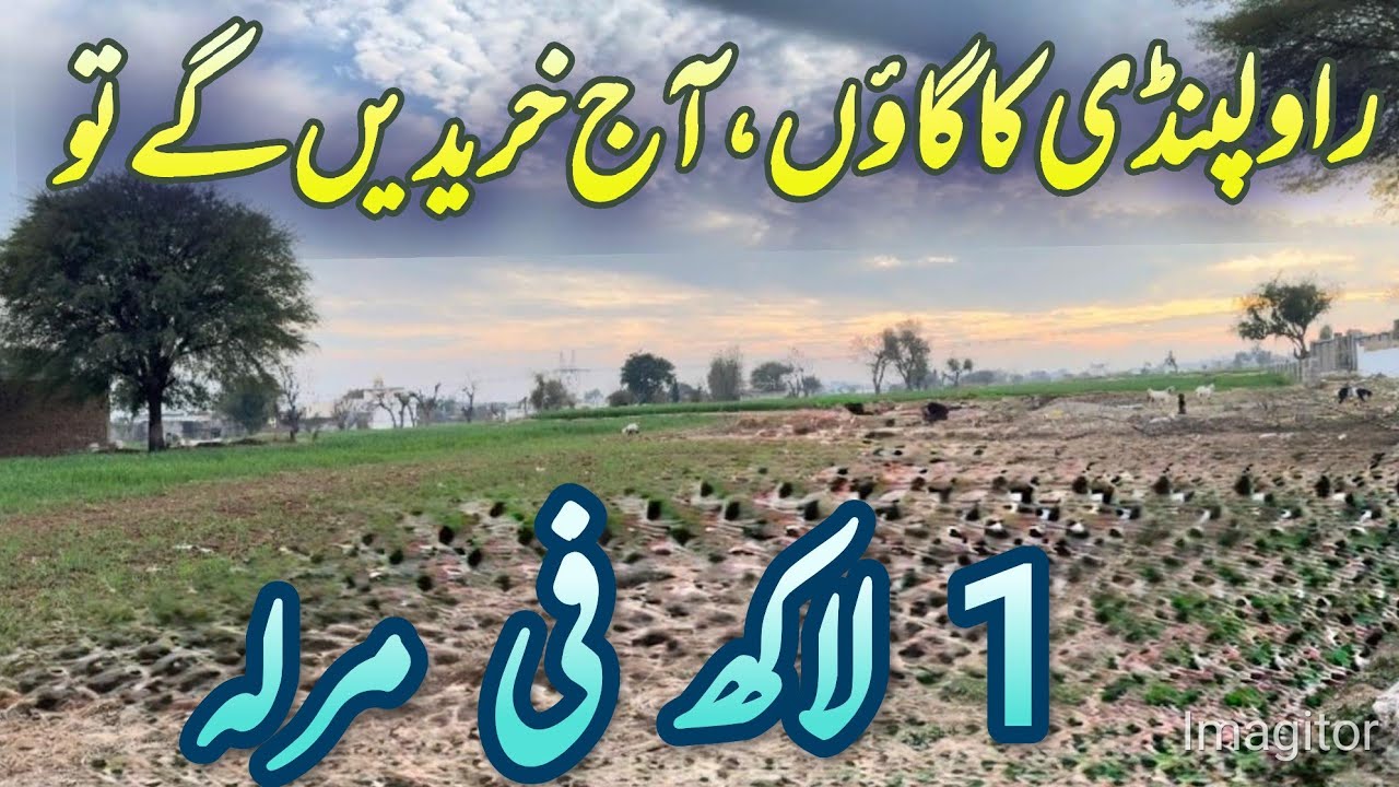 economical residential places in rawalpindi | #village | #villagevlog | #villagelife | #rawalpindi 