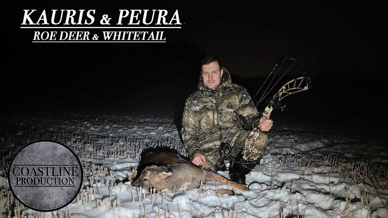 Metsästystä - Kauris & Peura - Hunting - Whitetail & Roe deer
