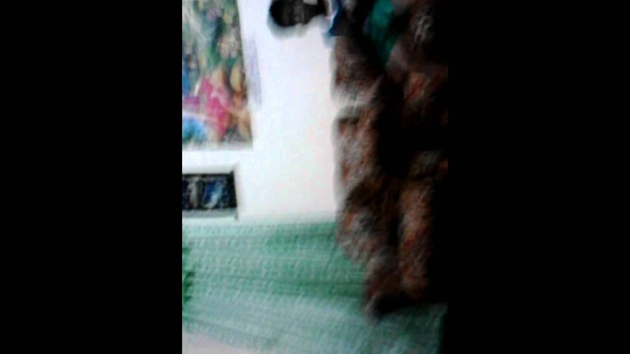 BjKid huli cam From:TeamOhright