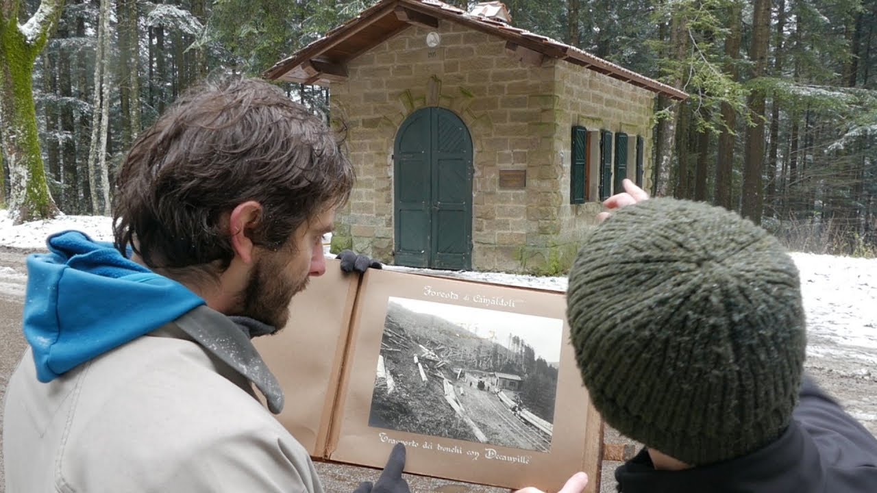 Il bosco ritornerà