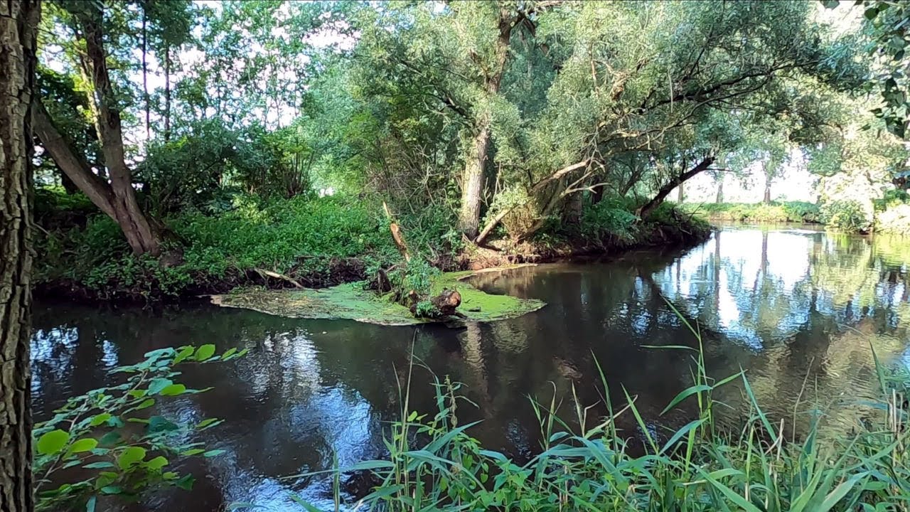 Wandeling langs de Dommel bij St-Oedenrode tot uitkijktoren