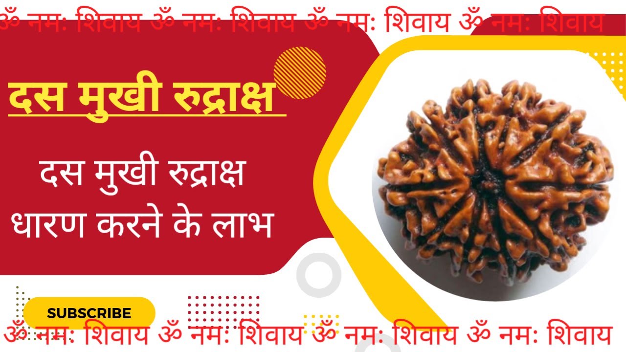 दस मुखी रुद्राक्ष धारण करने के लाभ | 10 Facing Rudrasha Benefits | PRAVEEN KUMAR ASTRO SCIENCE