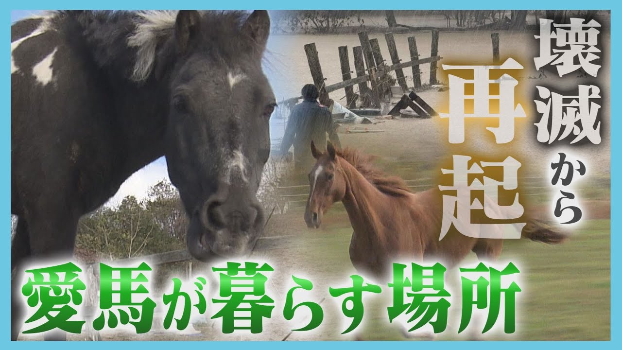 泥に覆われた放牧地　競走馬が余生過ごす養老牧場　豪雨災害に見舞われても“再起”めざし奮闘　北海道白老町
