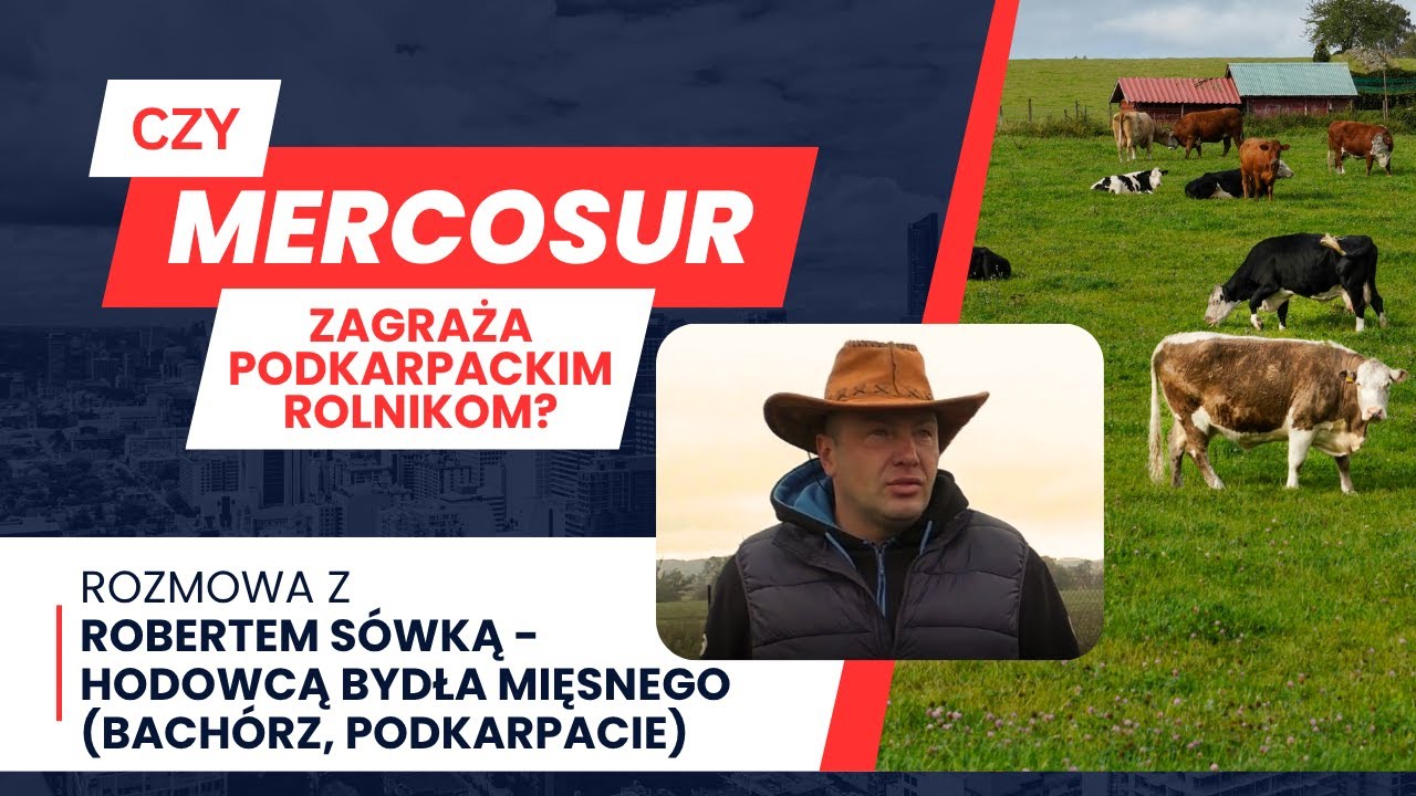 Czy Mercosur pogrąży polskie rolnictwo? Rozmowa z hodowcą bydła mięsnego z Bach&oacute;rza na Podkarpaciu.