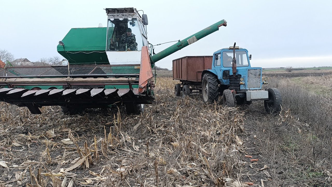 14 грудня 2025 р. Жнива кукурудзи🌽нива СК 5 молоте 🌽 мороз холодно ❄️