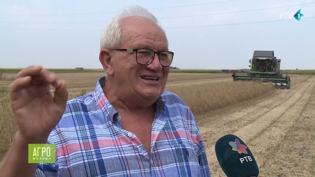 Žetva soje u Bečeju | AGROMOZAIK