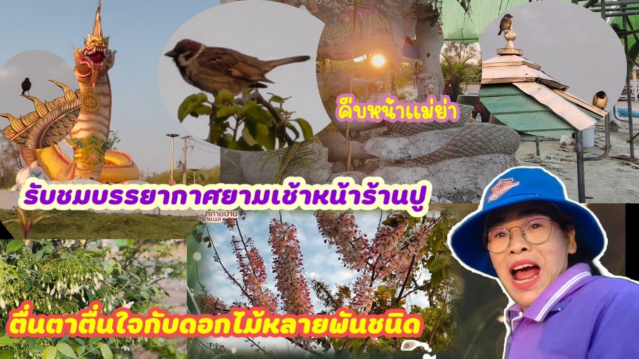 เช้านี้เพลิดเพลินไปกลับสิงสาราสัตว์ธรรมชาติดอกไม้สวยๆ