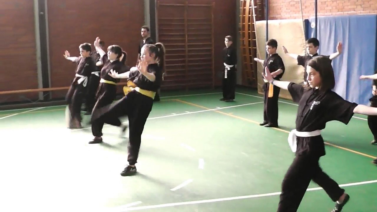Special training Cinture gialle 2017 - Corso di Kung Fu