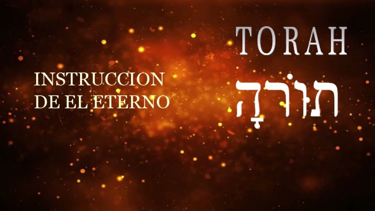 Los 5 libros de la Torah
