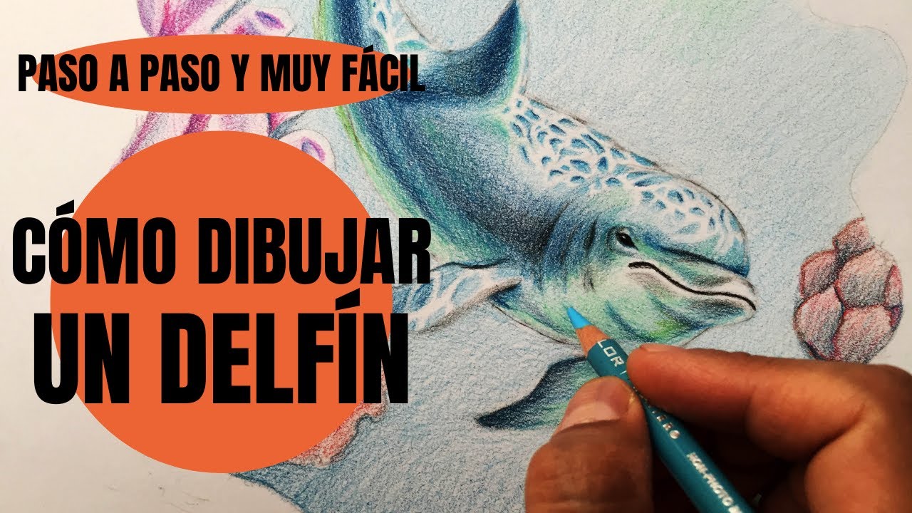 Cómo Dibujar Un Delfín realista Paso a Paso
