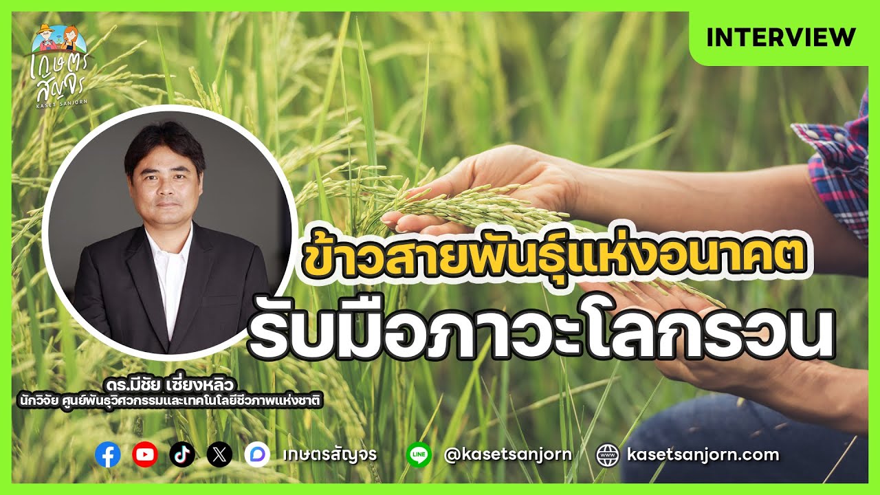 ข้าวสายพันธุ์ใหม่ สู้ภัยโลกรวน | เกษตรสัญจร Interview