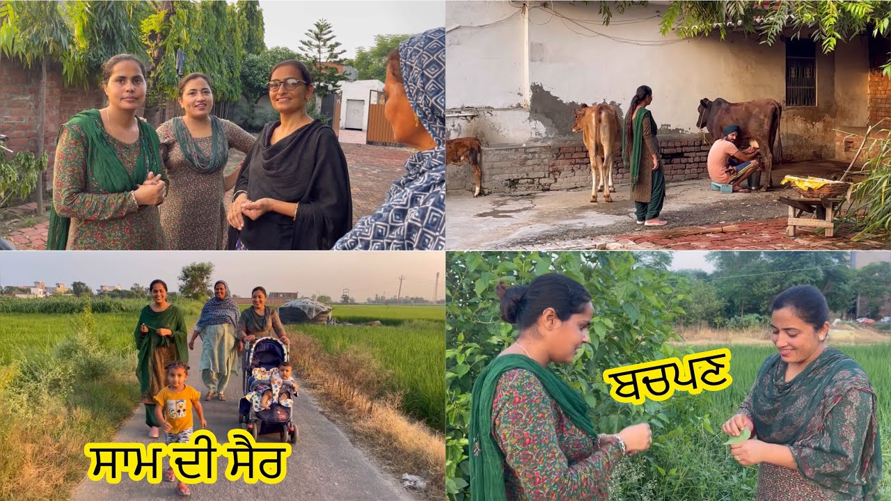 Sham De Sair Karda Karda Sonu Jeeta Ghar Poch Gae, Bhot Dina Bad Time Laga