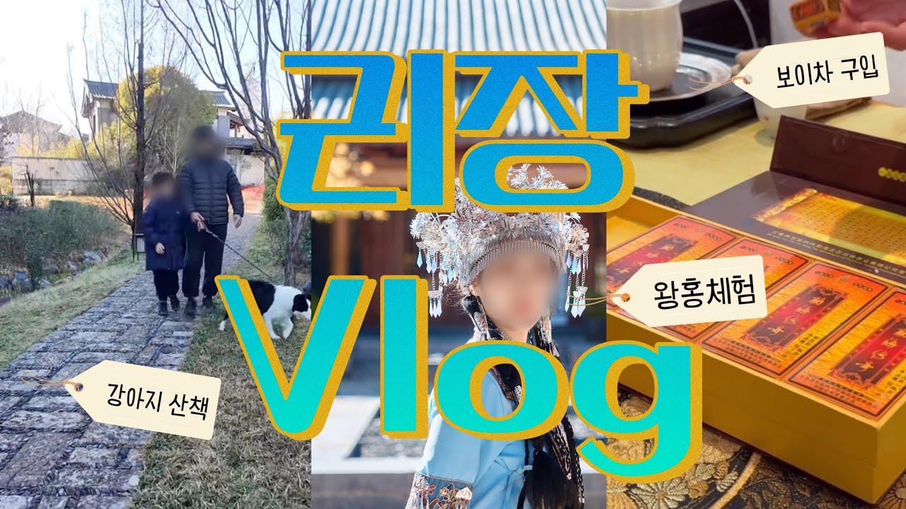 40살 아줌마도 왕홍체험 해봤음!! 리장 여행