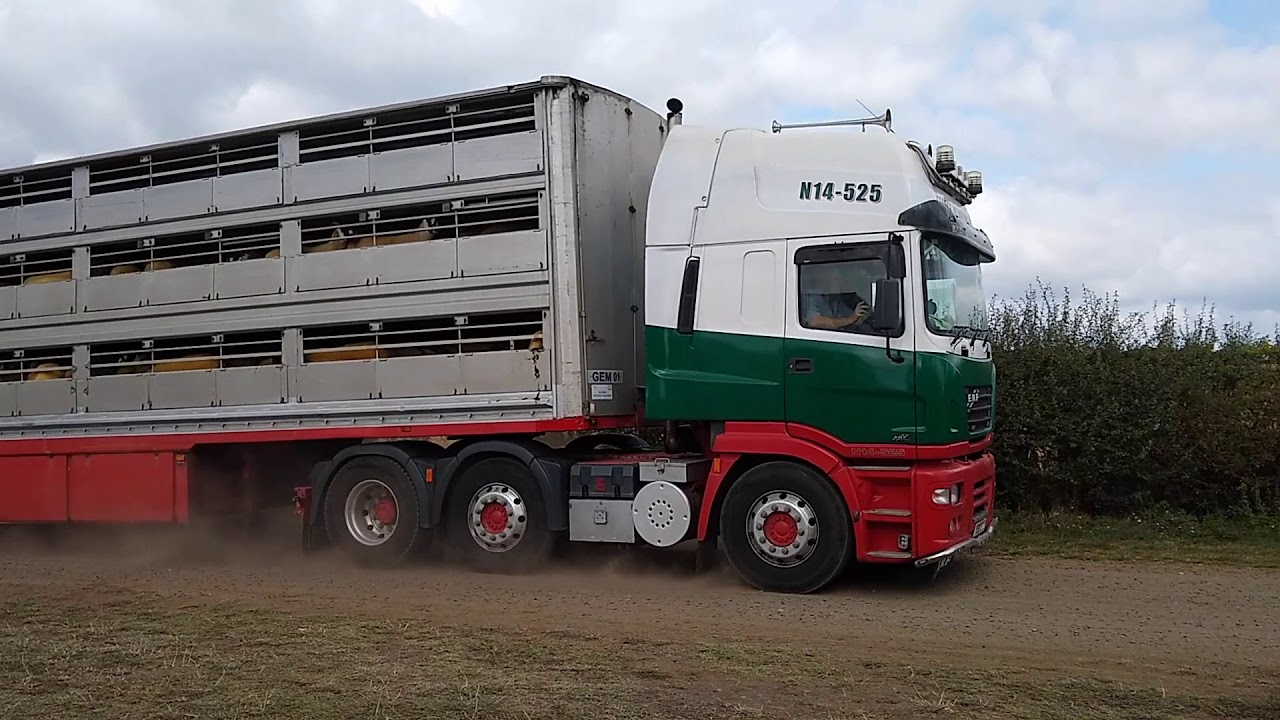 THAME SHEEP FAIR 2019