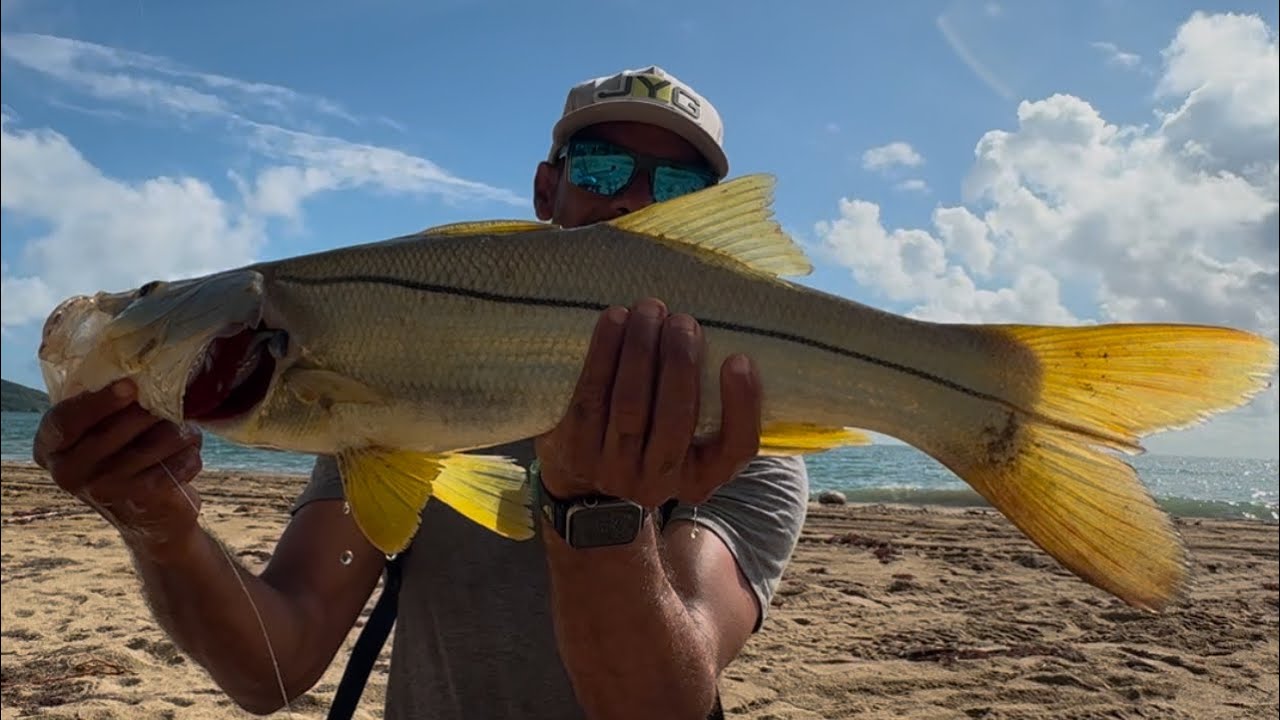 Tutorial y resultados para la pesca de robalos en lugares arenosos.con el swym bait ​@jygprofishing