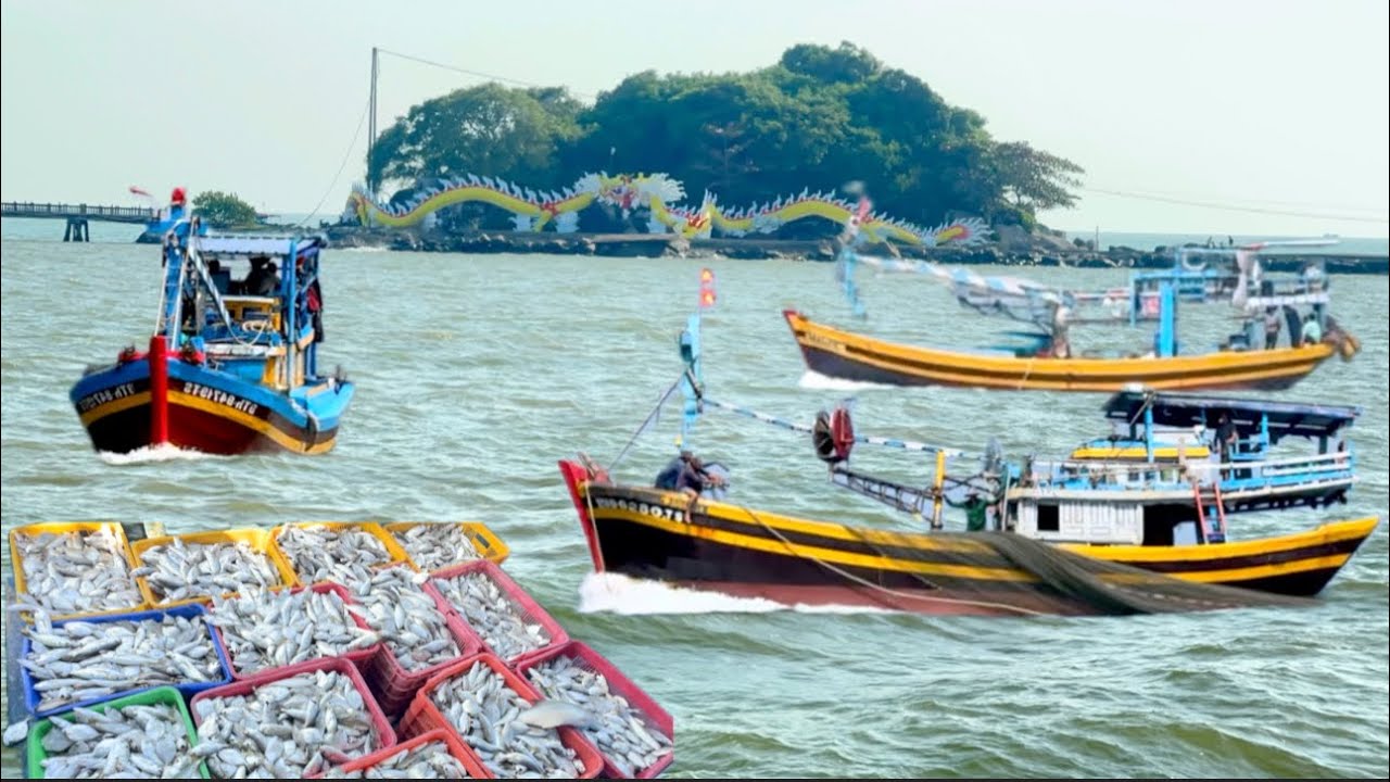 MẼ LƯỚI ĐẦU TIÊN TẠI BIỂN HÒN ĐÁ BẠC ,ĐƯỢC HÀNG TẤN CÁ ĐÙ VÀ CÁ LIỆT 