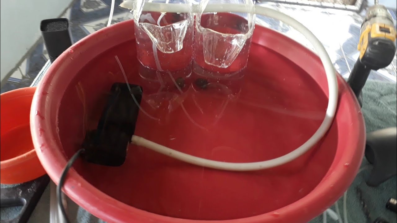 Encubadora casera para hacer nacer  tilapia