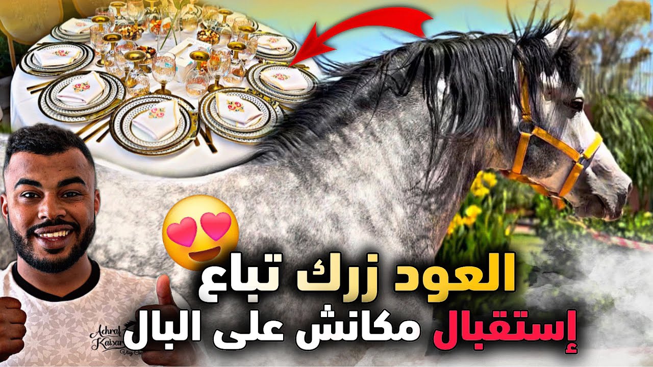 🚨 خـبـار زيـنة 😍 لعود لزرك تباع وغاذي يبقى معانا فالسربة &hellip; وشوفوا زردة لردت لزرك كيدازت 🔥😱..
