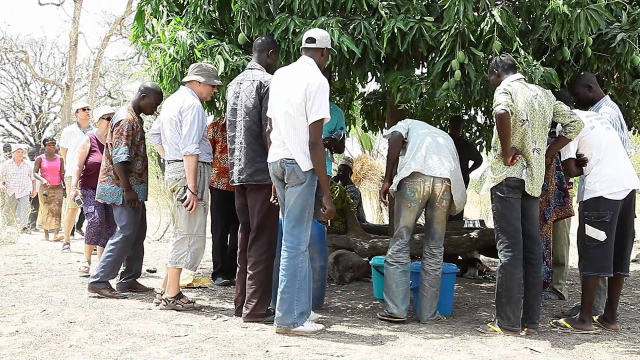 Imkerei in Togo/Westafrika