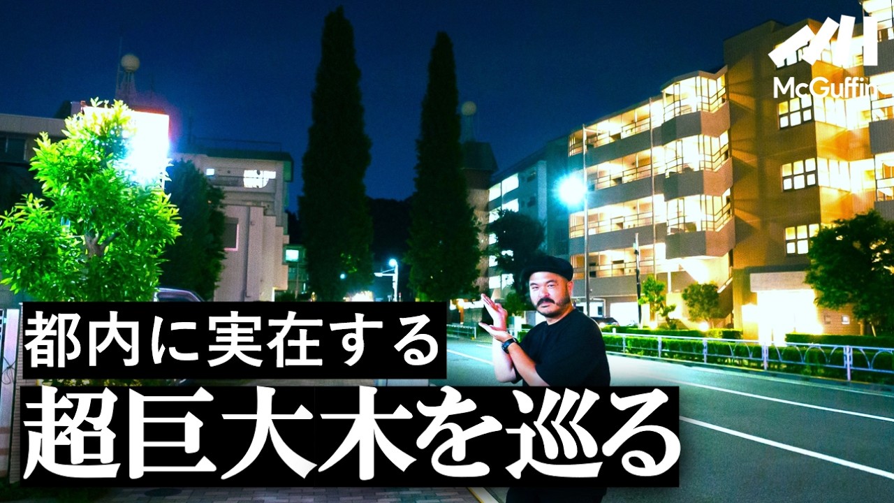【超デカい木を巡る】編集長が巡る東京お散歩ツアー