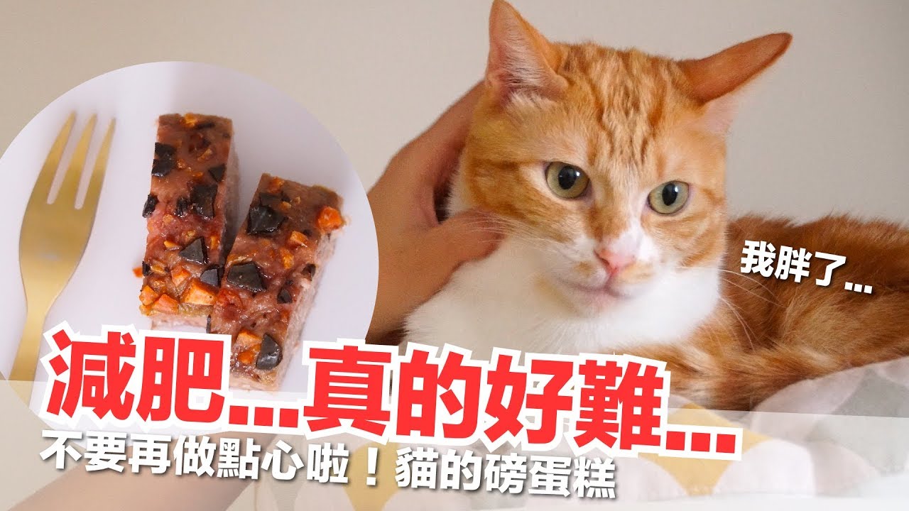 橘皮變胖的真正原因！家裡太多點心啦！貓的磅蛋糕食譜【貓副食食譜】好味貓鮮食廚房EP171