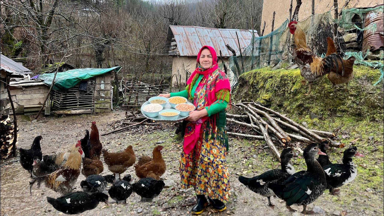 Cooking Noodles in the Oven on a Rainy Day and taking Care of the Sheep