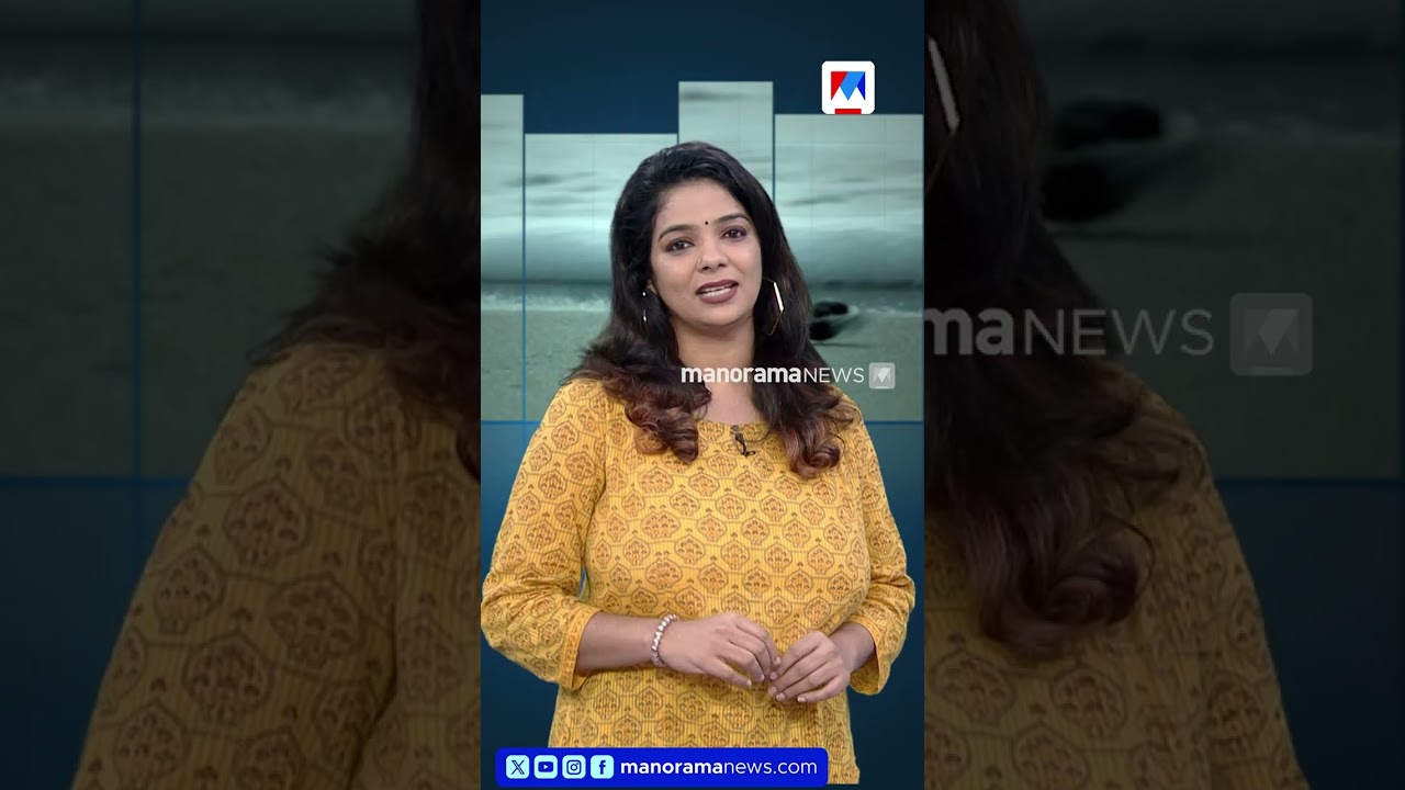 ആമമുട്ട കിട്ടിയത്രെ; ബജറ്റില്‍ ഒന്നും കിട്ടാത്തതിന് ഇങ്ങനെയങ്ങ് ട്രോളണോ; നിസ്സാരക്കാരല്ല ഈ കടലാമകള്‍