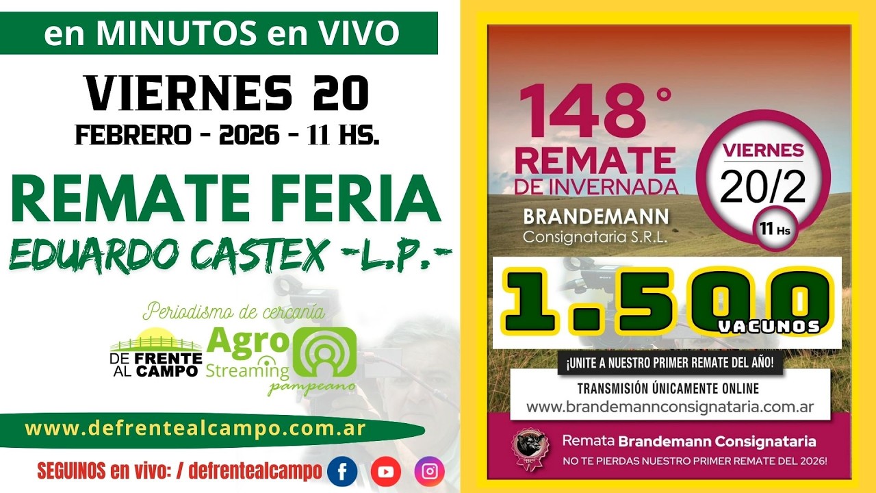 en VIVO- 11 hs. - REMATE de BRANDEMANN CONSIGNATARIA S.R.L. -  EDO. CASTEX -L.P.- 20 / FEB. / 2026-