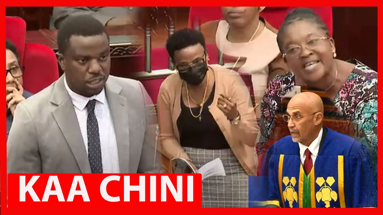 MNYUKANO MKALI, GRACE TENDEGA, HALIMA MDEE WATAKA KUGOMEA BAJETI/ NAIBU SPIKA ATOA AMRI 
