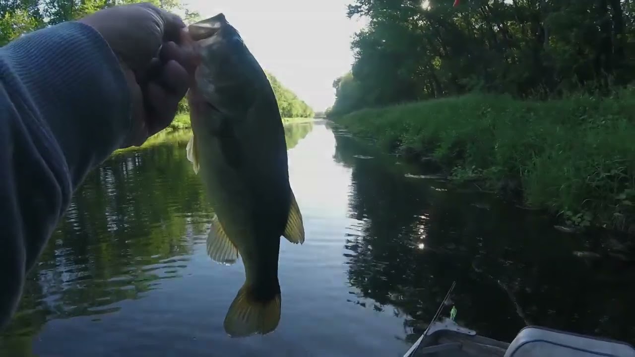 Catch Bass with the Senko Follow-Up Technique