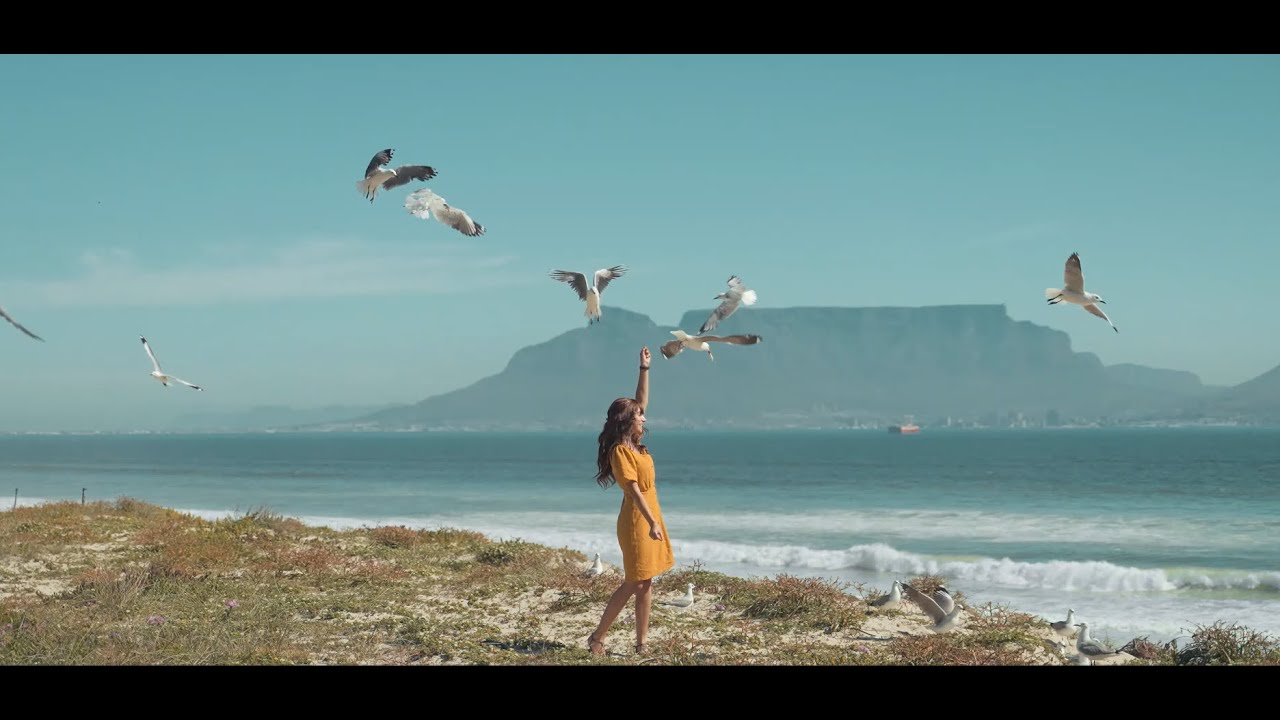 Start Again –  (Official Music Video) | This Song Is for Anyone Who’s Ready to Heal 🌱💛