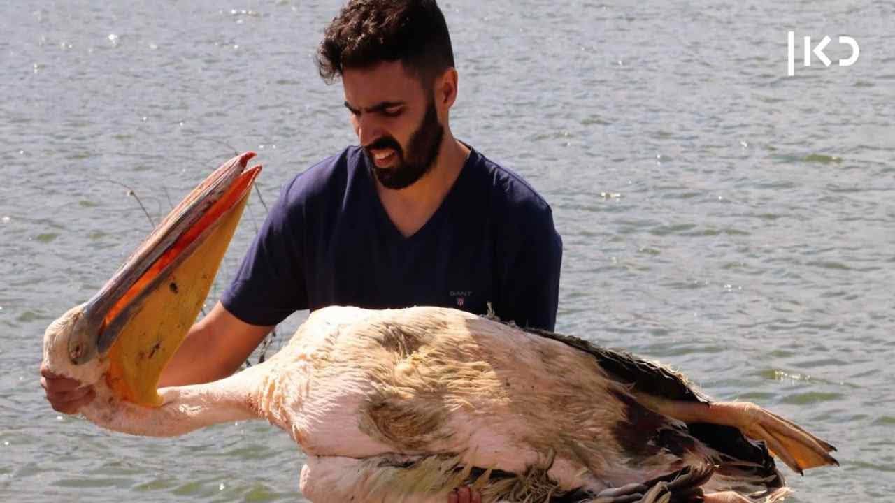 דוקותיים | מי יגן על השקנאים?