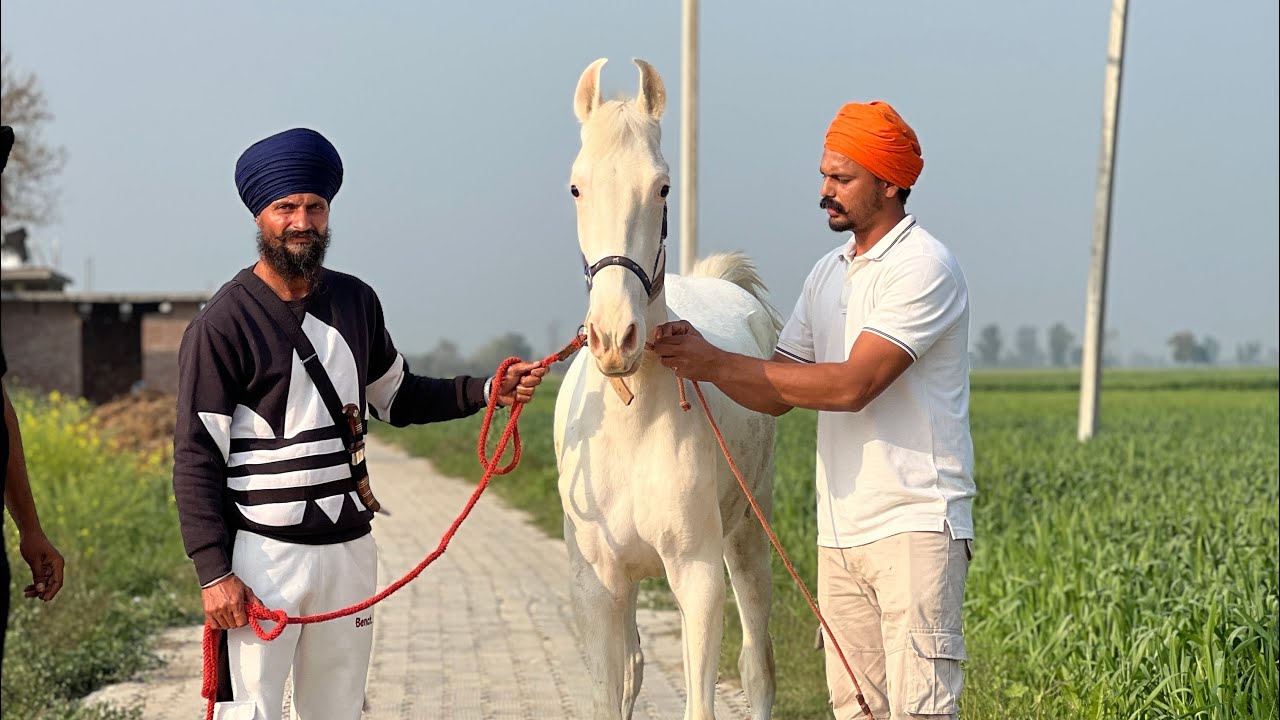 ਰੇਟ ਸਿਰਫ 220000 ਨੰਬਰ 8872569447