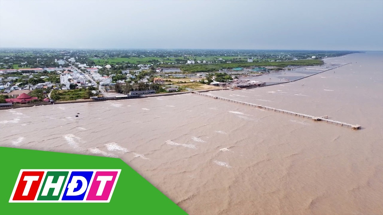 Đồng Tháp đầu tư, phát triển các cảng biển | THDT