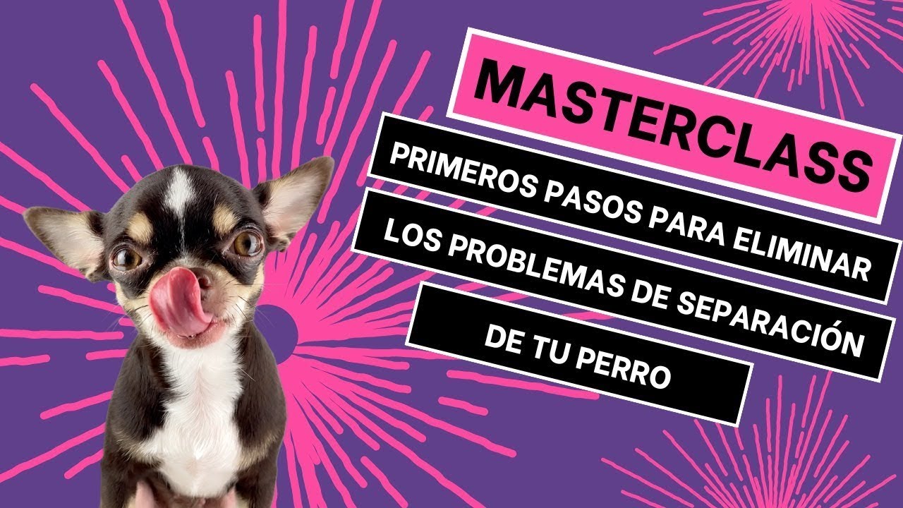 Clase GRATUITA Adiós a los problemas de separación