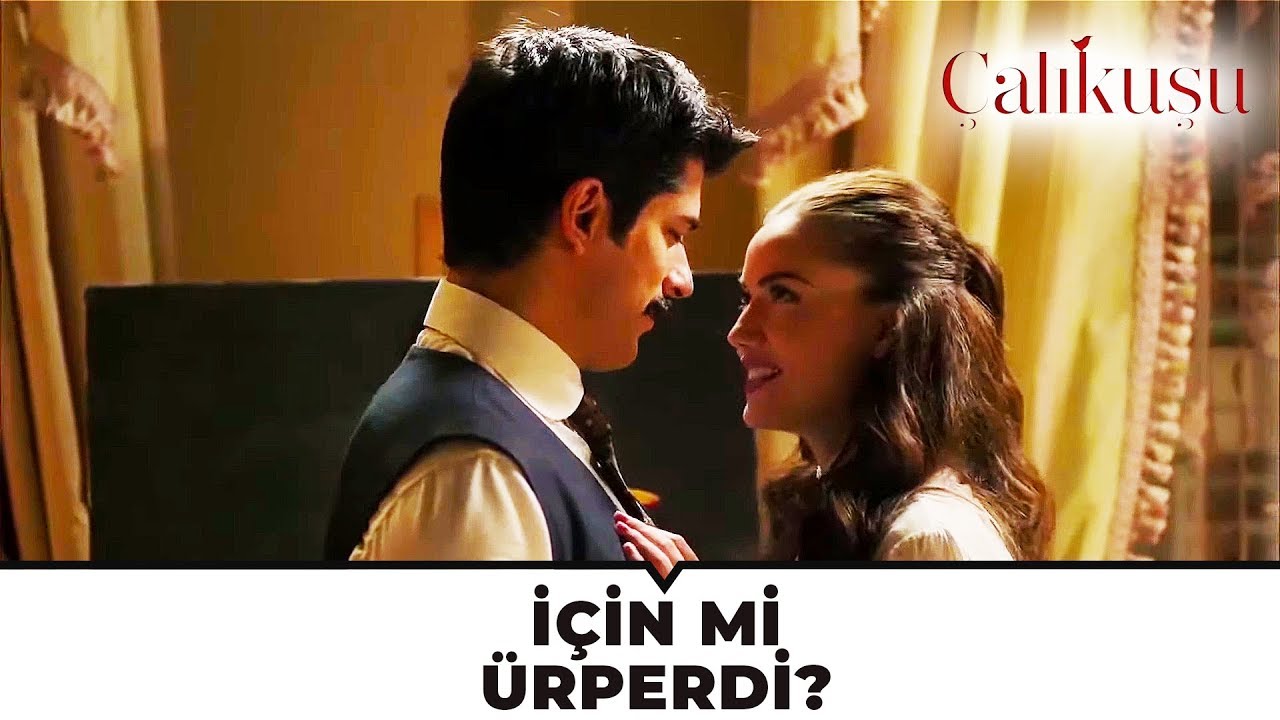 Feride ve Kamran Cilveleşiyor | Çalıkuşu