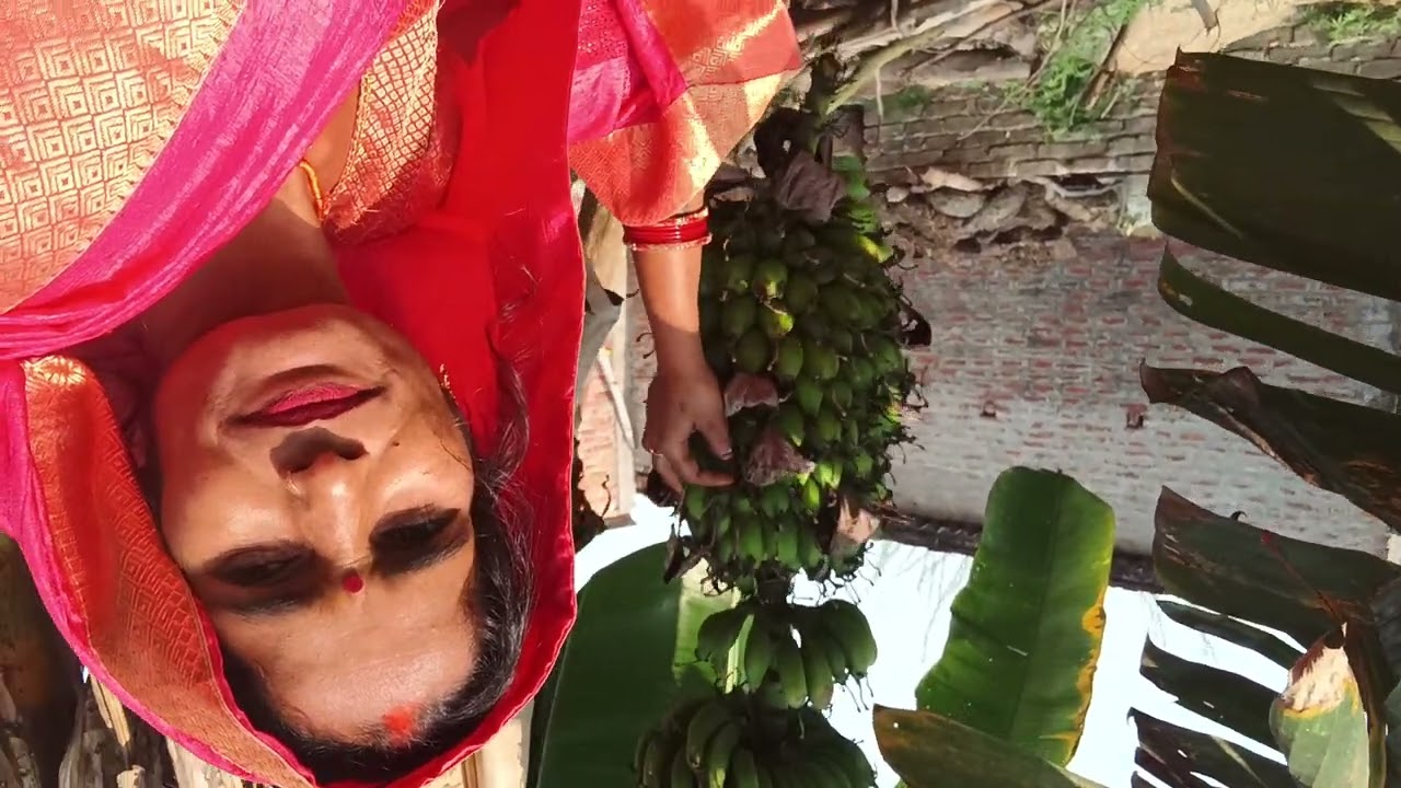 तो लिए दोस्तों दिखाते हैं अपने खेत की फसल 🙏🙏