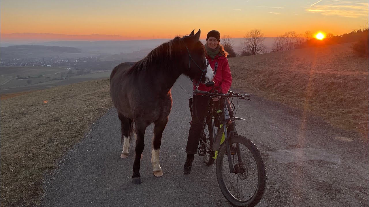 15. Radfahren: unsere Lieblingsaktivität