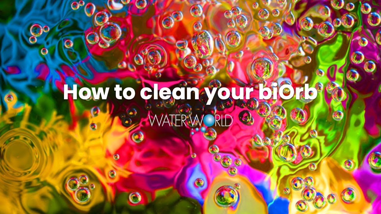 How to clean your biOrb