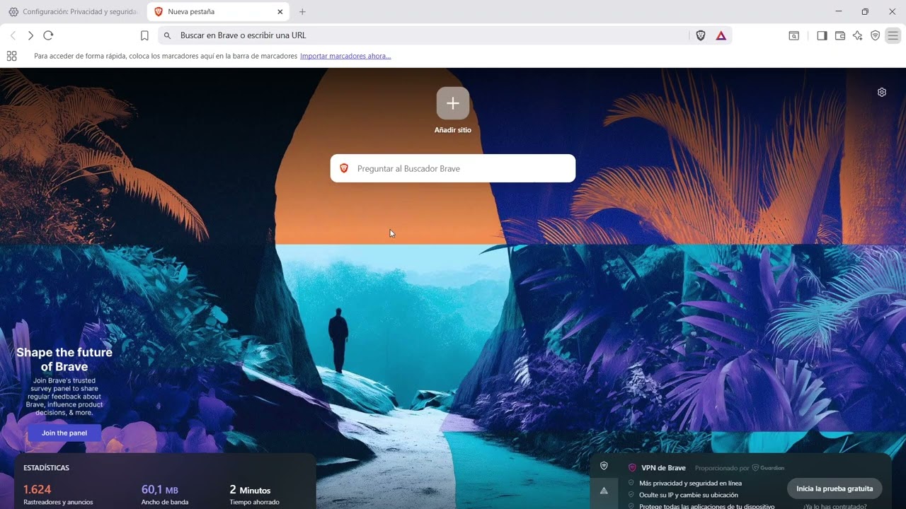 Cómo borrar descargas de Brave 