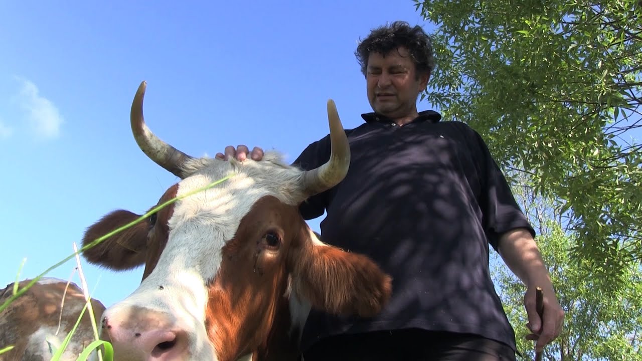 Jóska, az értelmiségi paraszt - Kultfilm 6