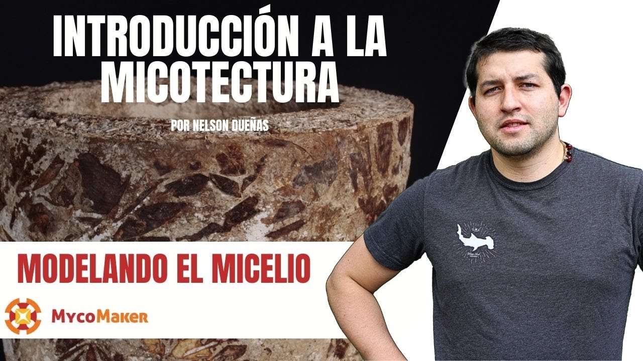 🍄 Modelamiento del Micelio: Creando con Naturaleza #Biomateriales #DiseñoSostenible #ModeladoMicelio