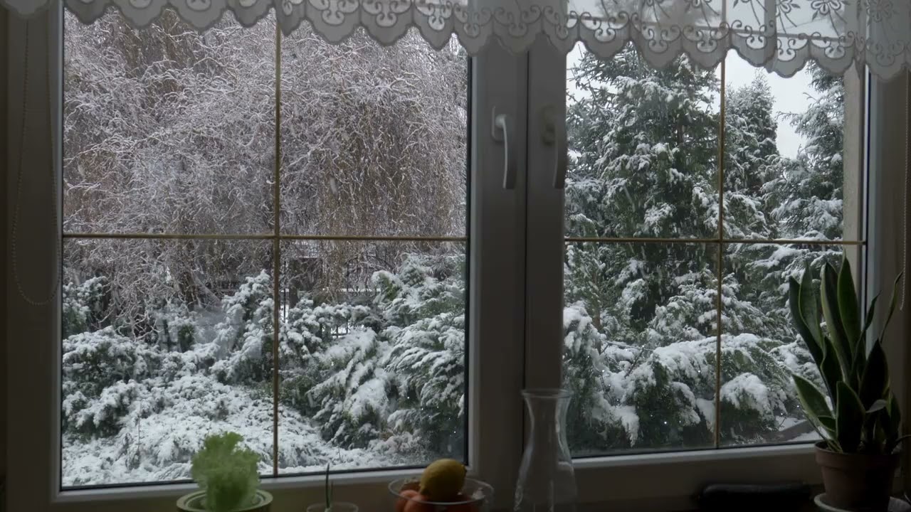 A Cozy Winter Snow Story with Relaxing Classical Music #Cozy #Winter  #classicalmusic