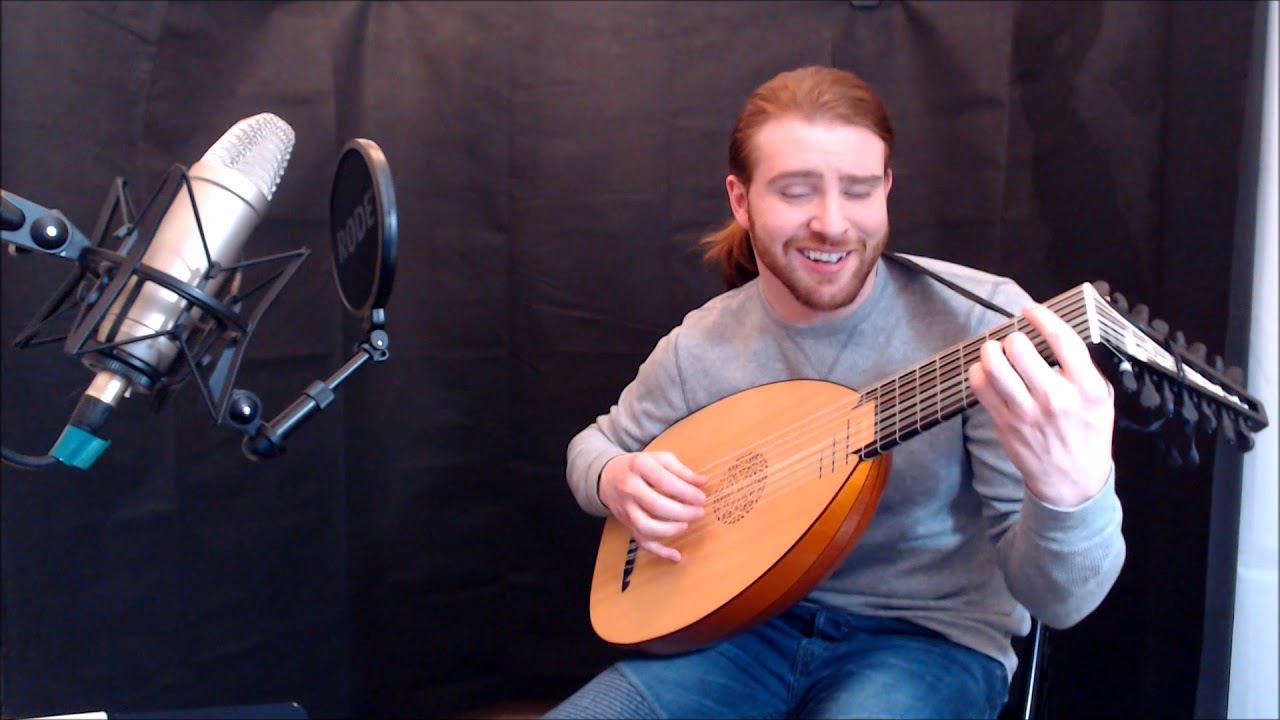 Blackbird - Beatles on Lute